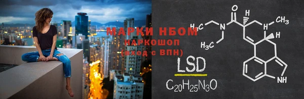 хмурый Семилуки