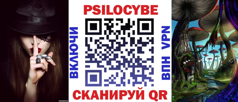 Галлюциногенные грибы Psilocybe  Гдов 