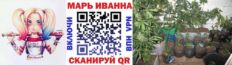 МАРИХУАНА индика  Гдов 